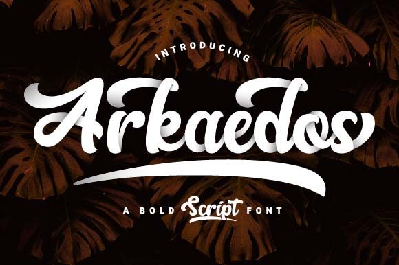 Arkaedos: A Bold Handwritten Font That Elevates Real Business Branding