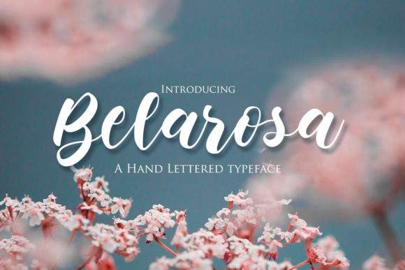Belarosa: A Chic Script Font That Strengthens Your Brand