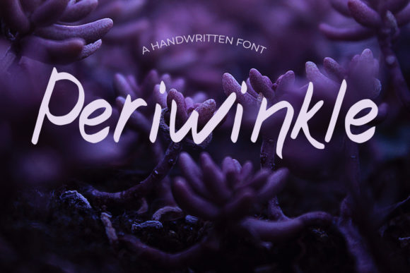 Periwinkle: A Handwritten Font That Feels Like a Quiet Conversation